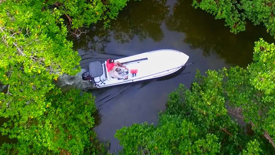 micro sailing yacht